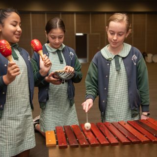 St Fidelis Catholic Primary School - Music