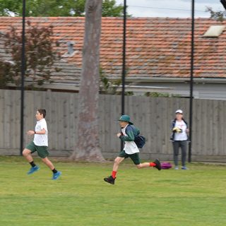 St Fidelis Catholic Primary School - Sports Carnival